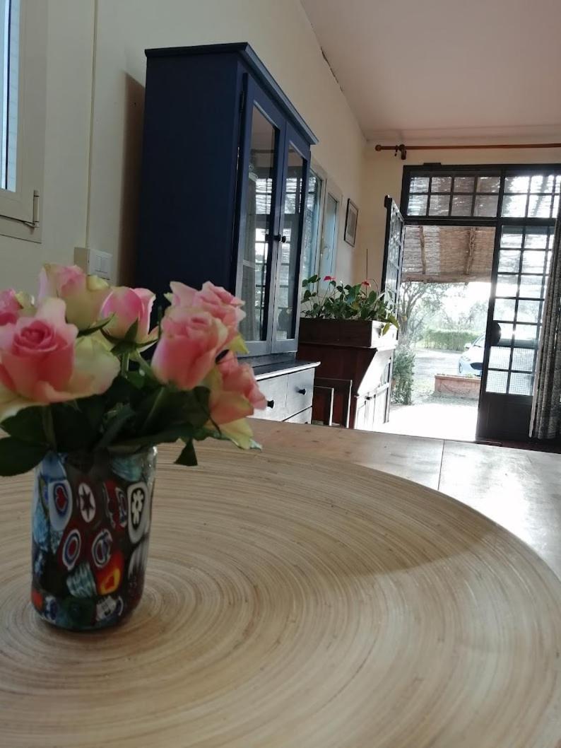 Bb Villa Bolgheri Mare Donoratico Kültér fotó
