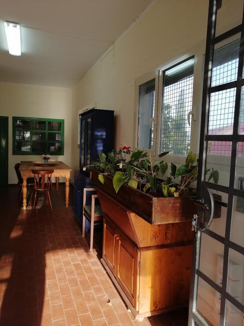 Bb Villa Bolgheri Mare Donoratico Kültér fotó