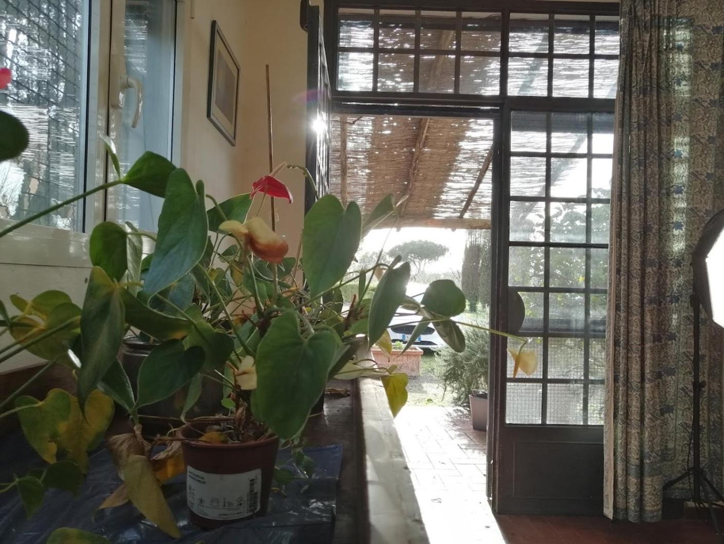 Bb Villa Bolgheri Mare Donoratico Kültér fotó